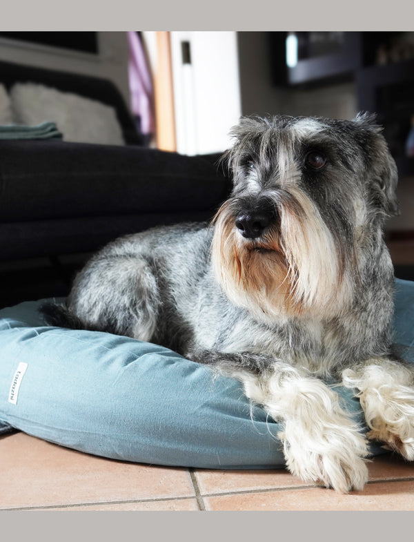 Coussin Poespas bleu