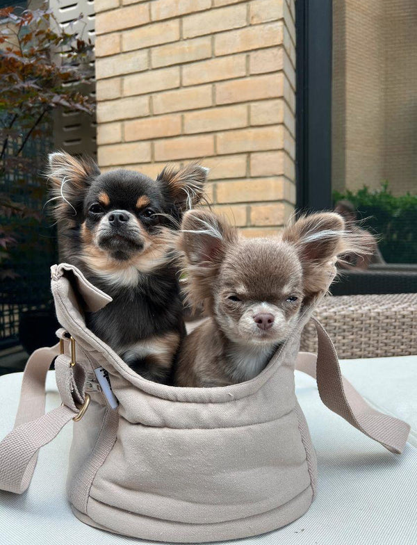 Sac pour chien RIO Sable foncé