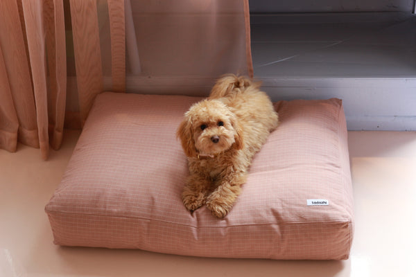 Coussin Tobine checkered Rose