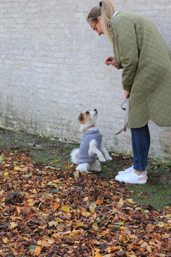 Pull on laine gris pour chiennes