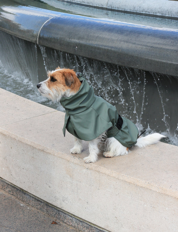L'imperméable Vert