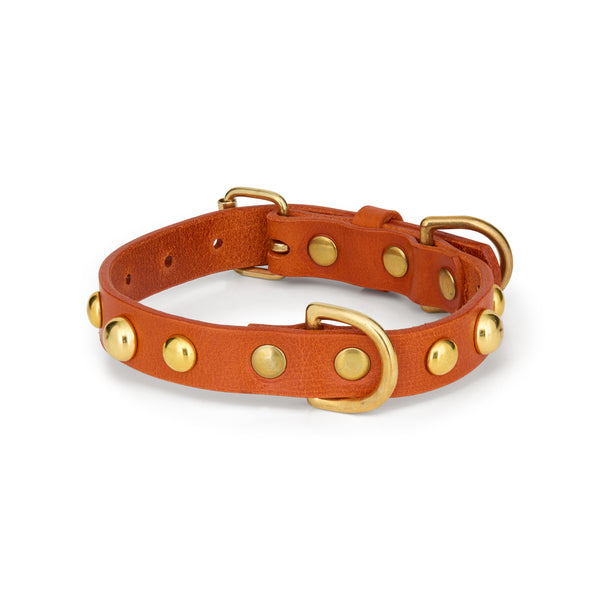 Leather collar Orange