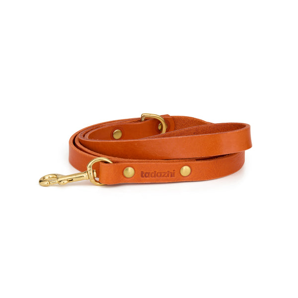 Leather leash Orange