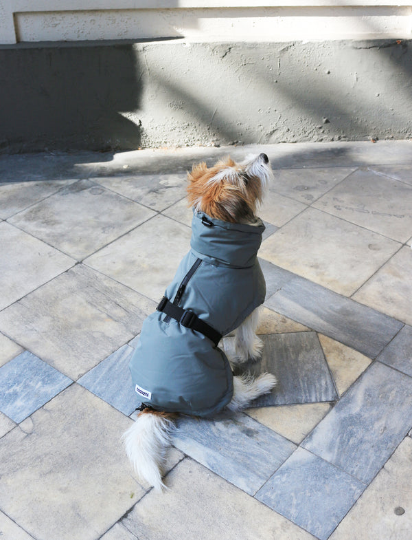 Veste d’Hiver Vert
