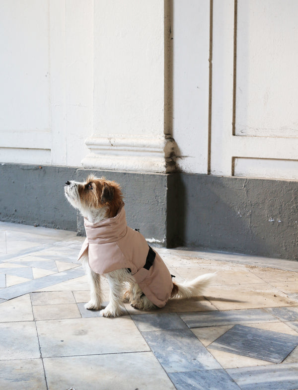 Veste d’Hiver Rose