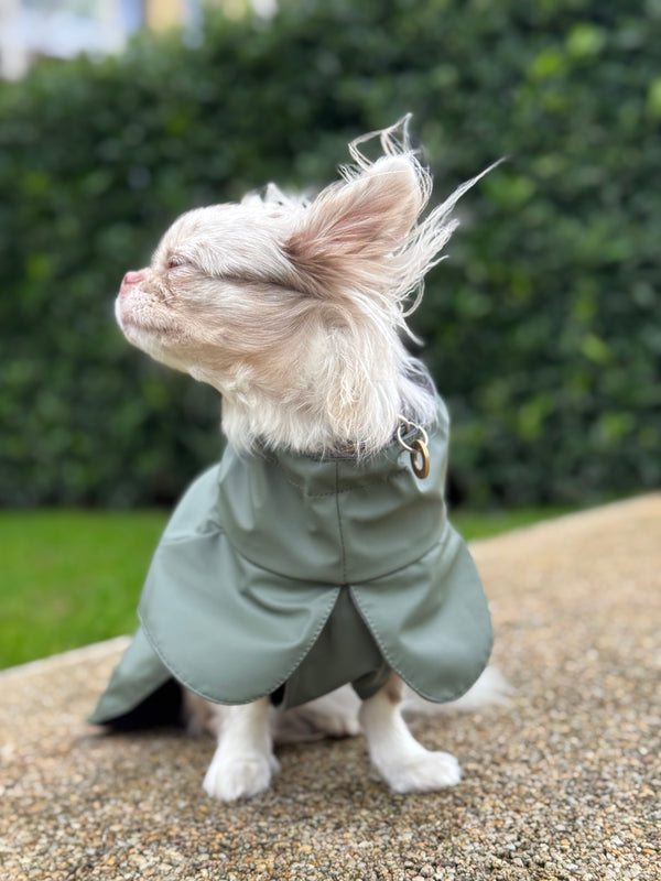 L'imperméable Vert