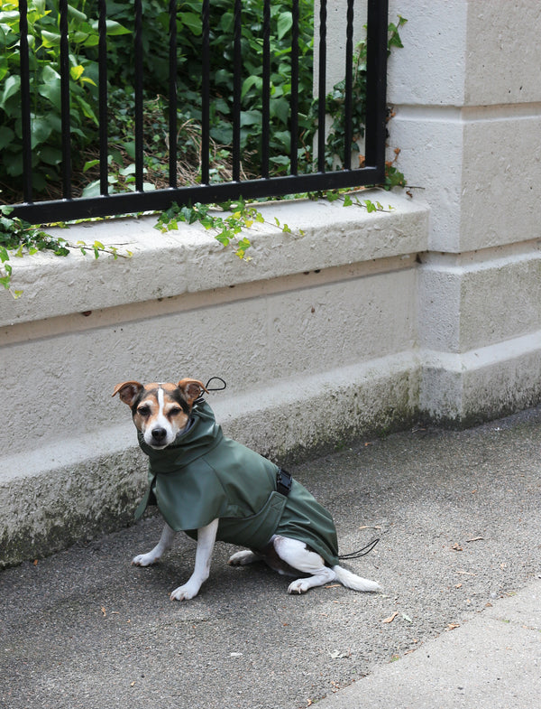 L'imperméable Vert
