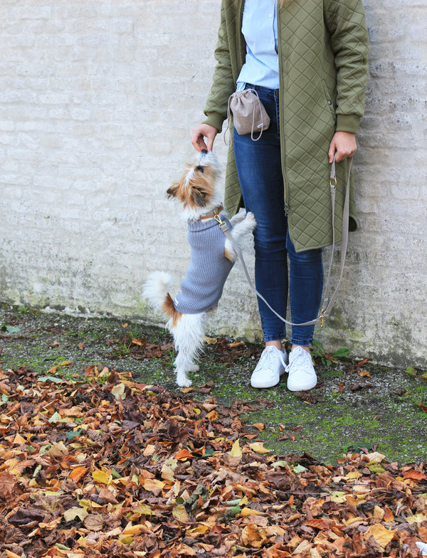 Pull on laine gris pour chiennes