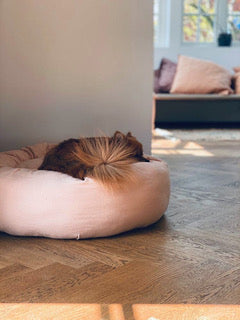Panier donut poudre