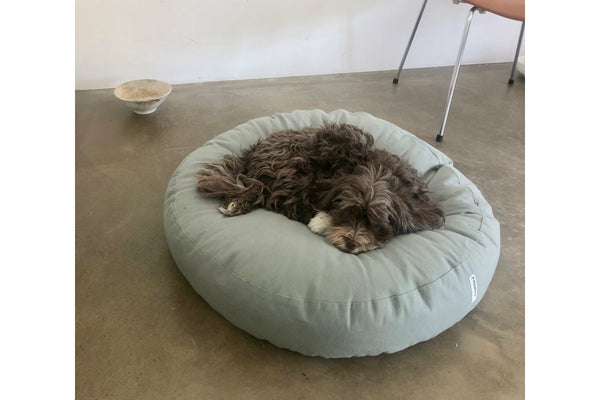 round design dog cushion with havanese dog resting on it