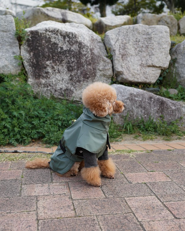 L'imperméable Vert