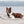Couette pour Chien Rayé classique