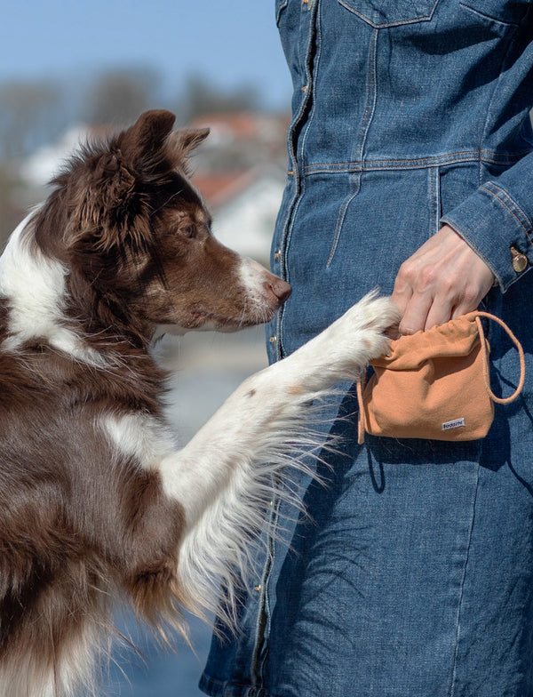 Sac à friandises brun clair