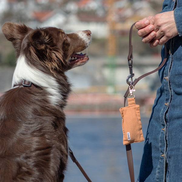 Distributeur de sacs à déjection brun clair