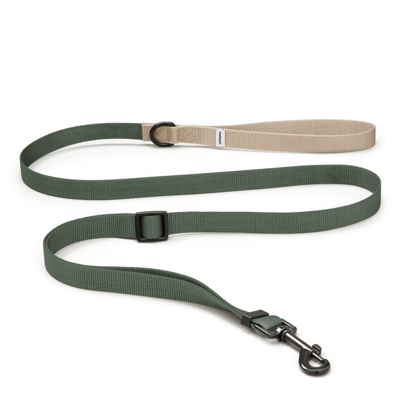 Laisse Luna pour chien Vert Sable