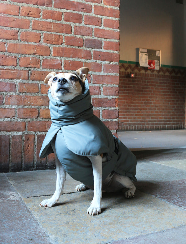 Veste d’Hiver Vert