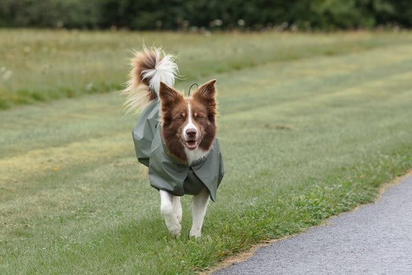 L'imperméable Vert
