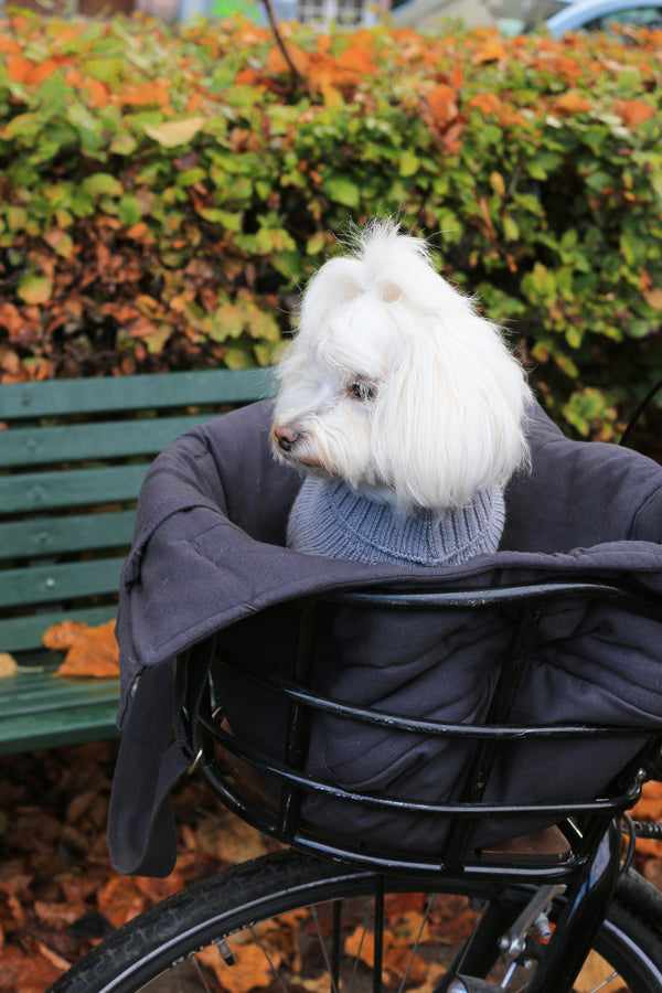 Sac pour chien RIO gris chaud