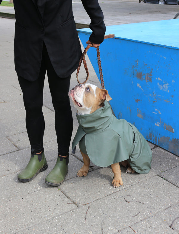 L'imperméable Vert