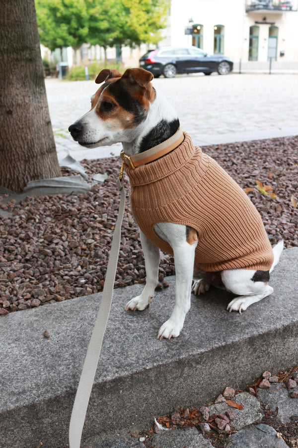 Pull on laine beige pour chiennes