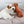 Charger l&#39;image dans la galerie, jack russell terrier playing on a timeless dog cushion
